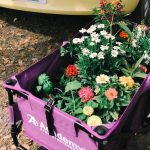 Cart Full of Plants